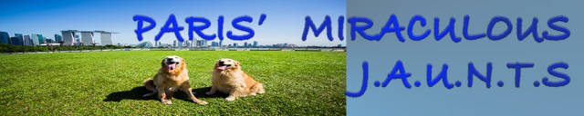 paris-miraculous-jaunts-header